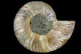 Agatized Ammonite Fossil (Half) - Crystal Chambers #111488-1